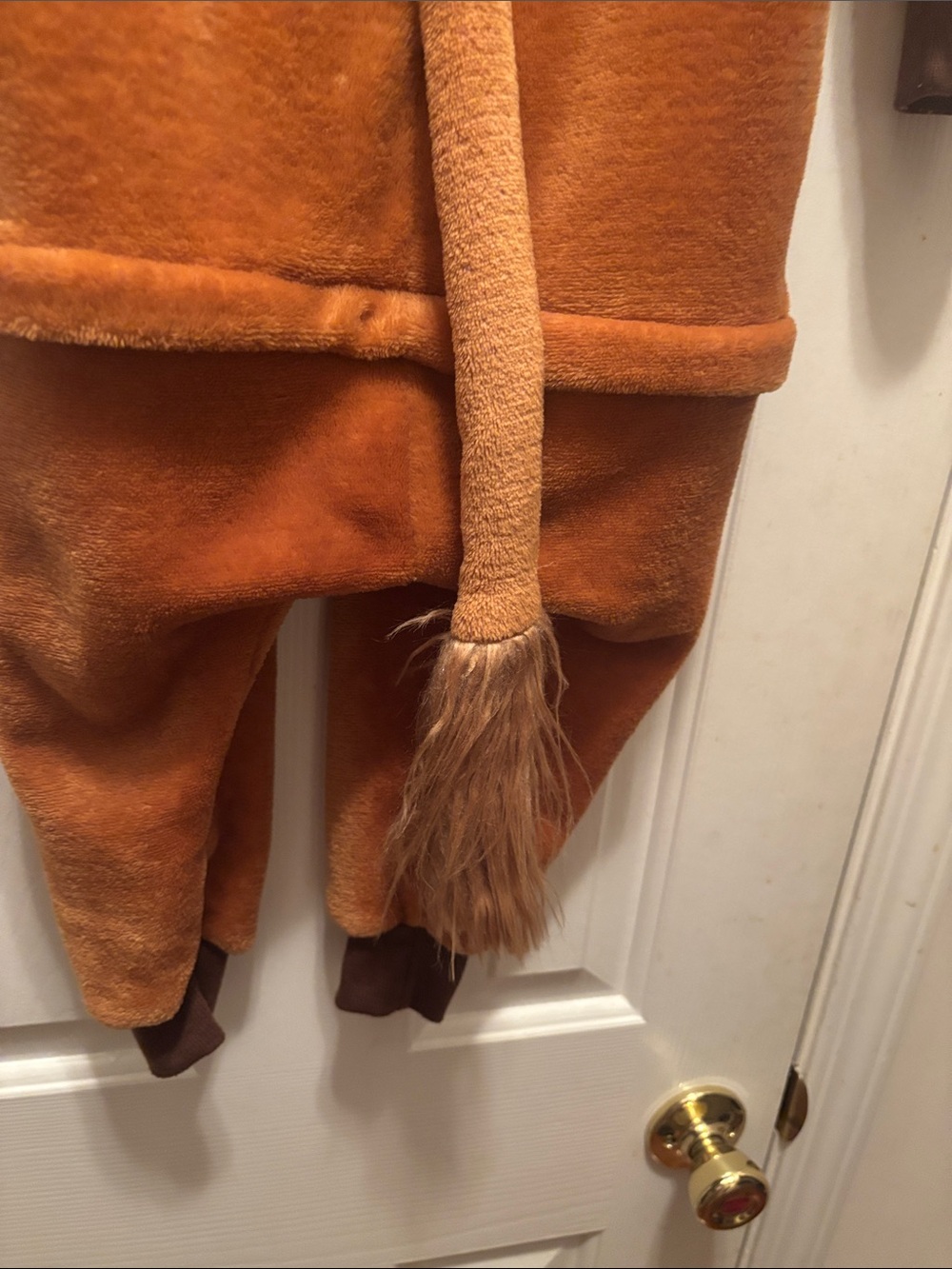 Lion Costume - Picture 3 of 4